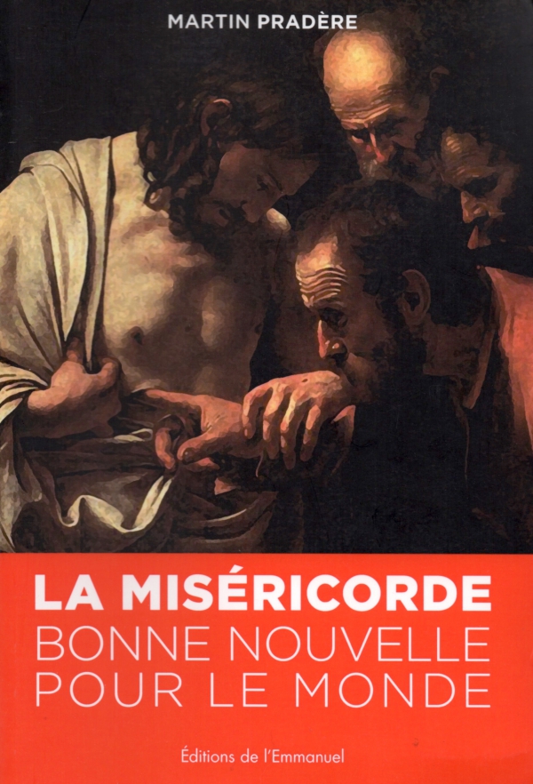 ANNÈE DE LA MISÉRICORDE,LIRE,LIVRE,littérature