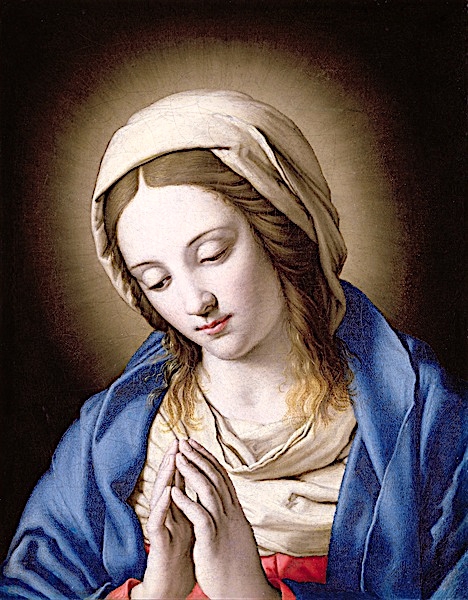 immaculÉe,conception,vierge,virgina,virgin,mari,maria,noËl,avent